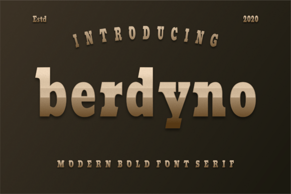 Berdyno: A Modern Serif Font That Elevates Handmade Design