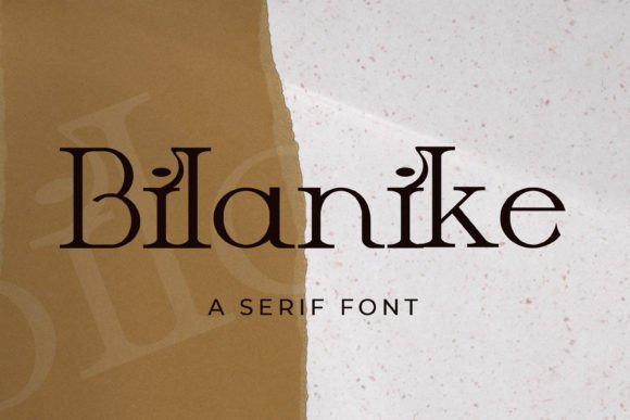 Bilanike: A Premium Serif Font That Elevates Real Business Branding