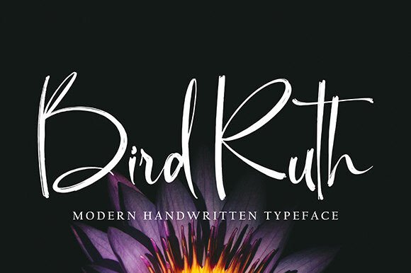 Bird Ruth: A Script Font That Elevates Real Small Business Branding