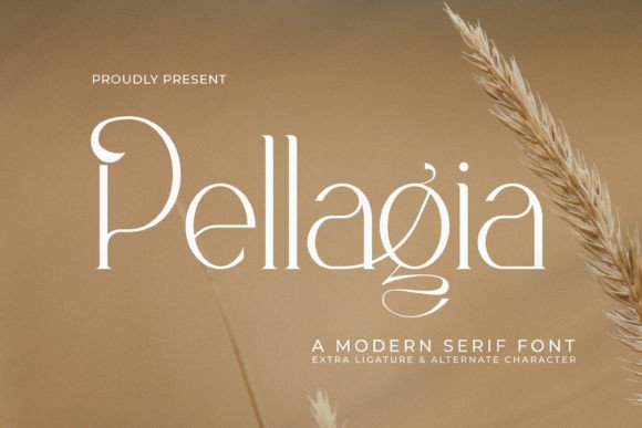 Pellagia: A Modern Serif Font for Scroll-Stopping Marketing