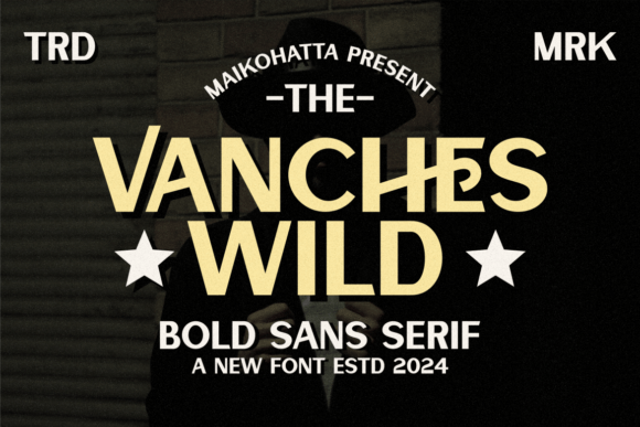 Vanches Wild: A Bold, Polished Sans Serif for Small Business Branding